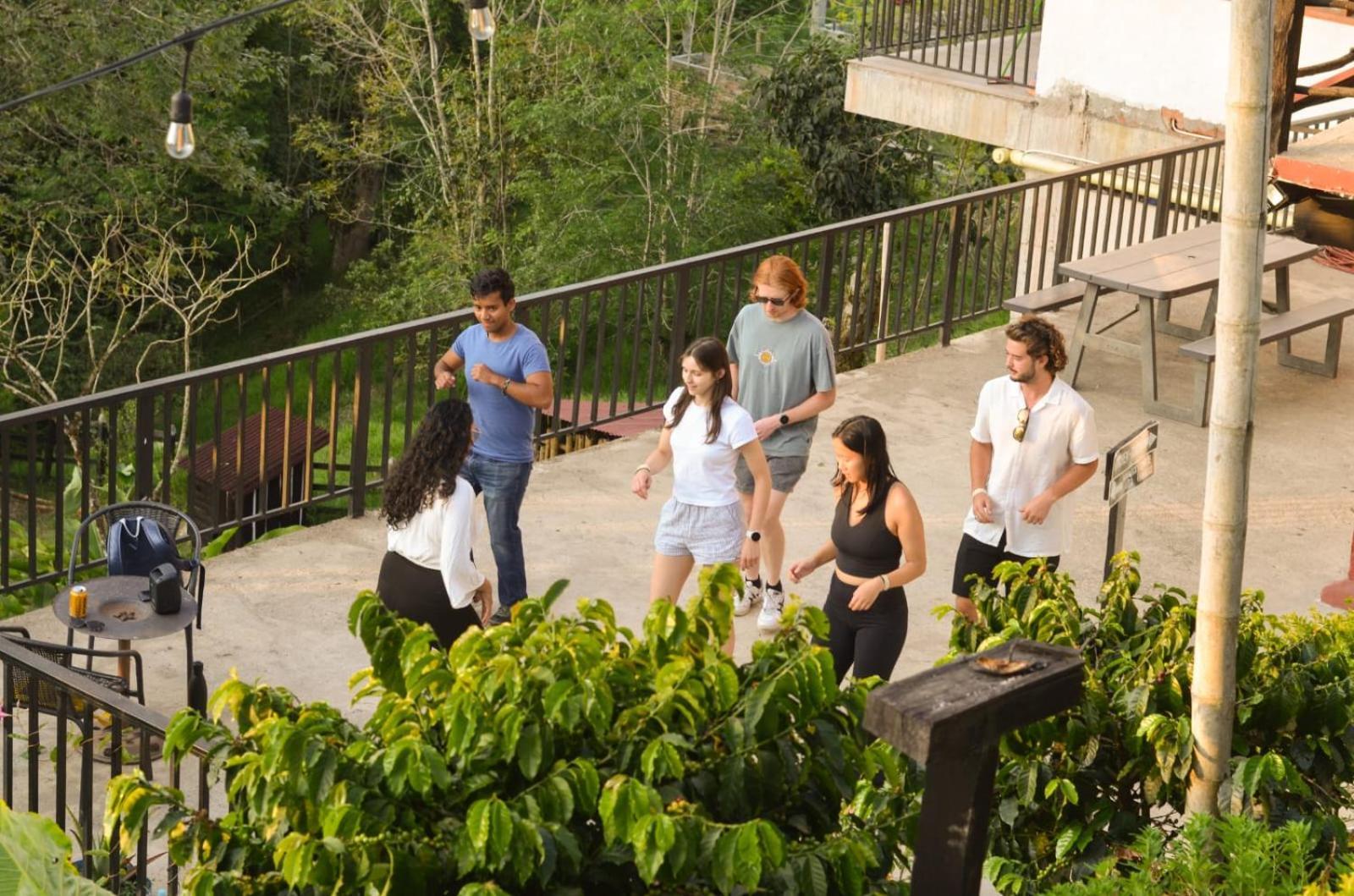 Coffee Tree Boutique Hostel Salento Luaran gambar