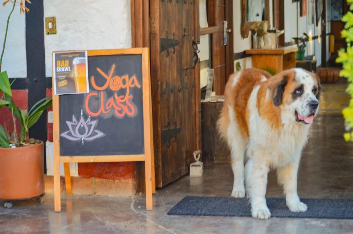 Coffee Tree Boutique Hostel Salento Luaran gambar