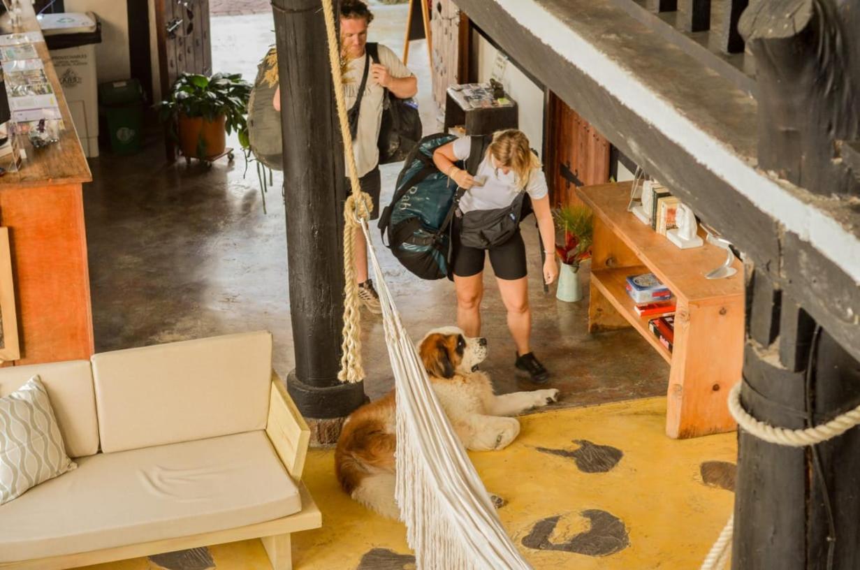 Coffee Tree Boutique Hostel Salento Luaran gambar