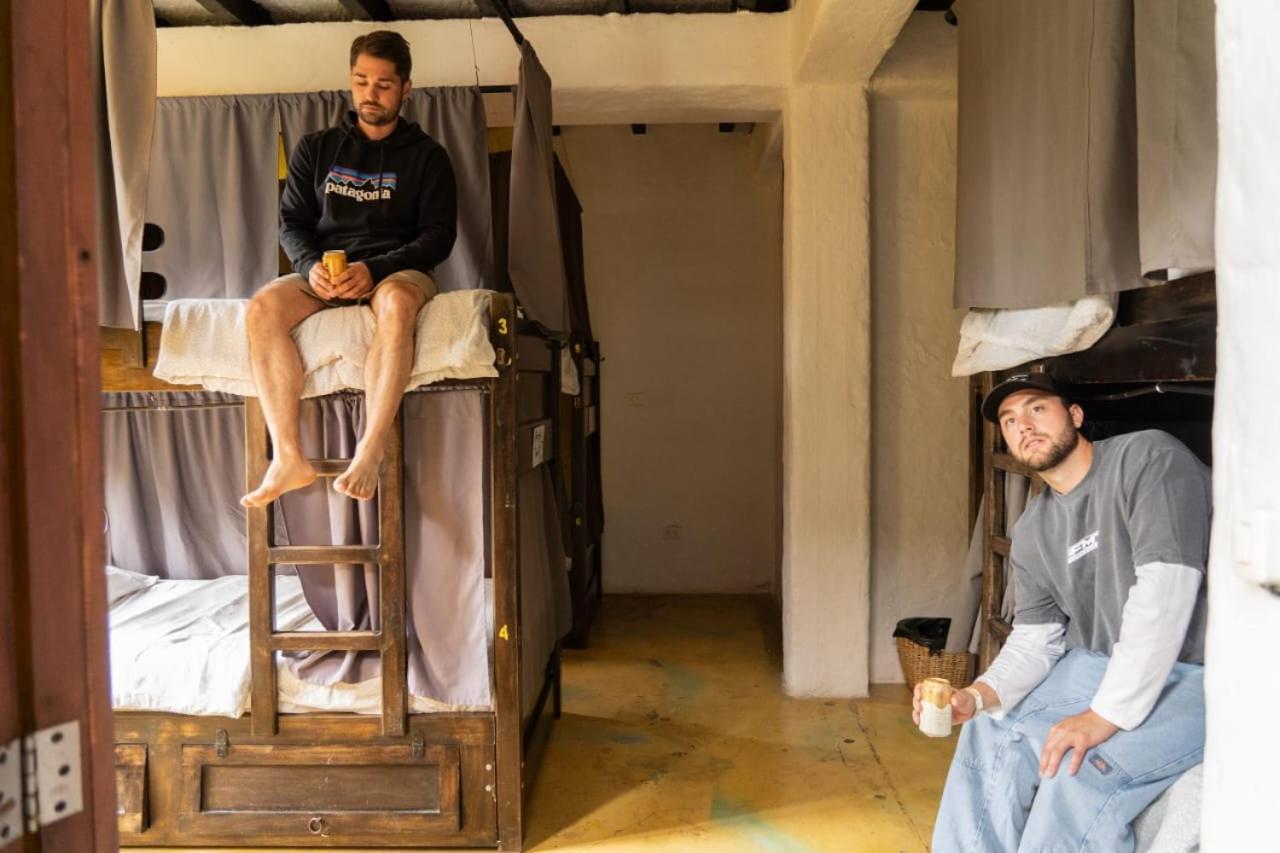 Coffee Tree Boutique Hostel Salento Luaran gambar