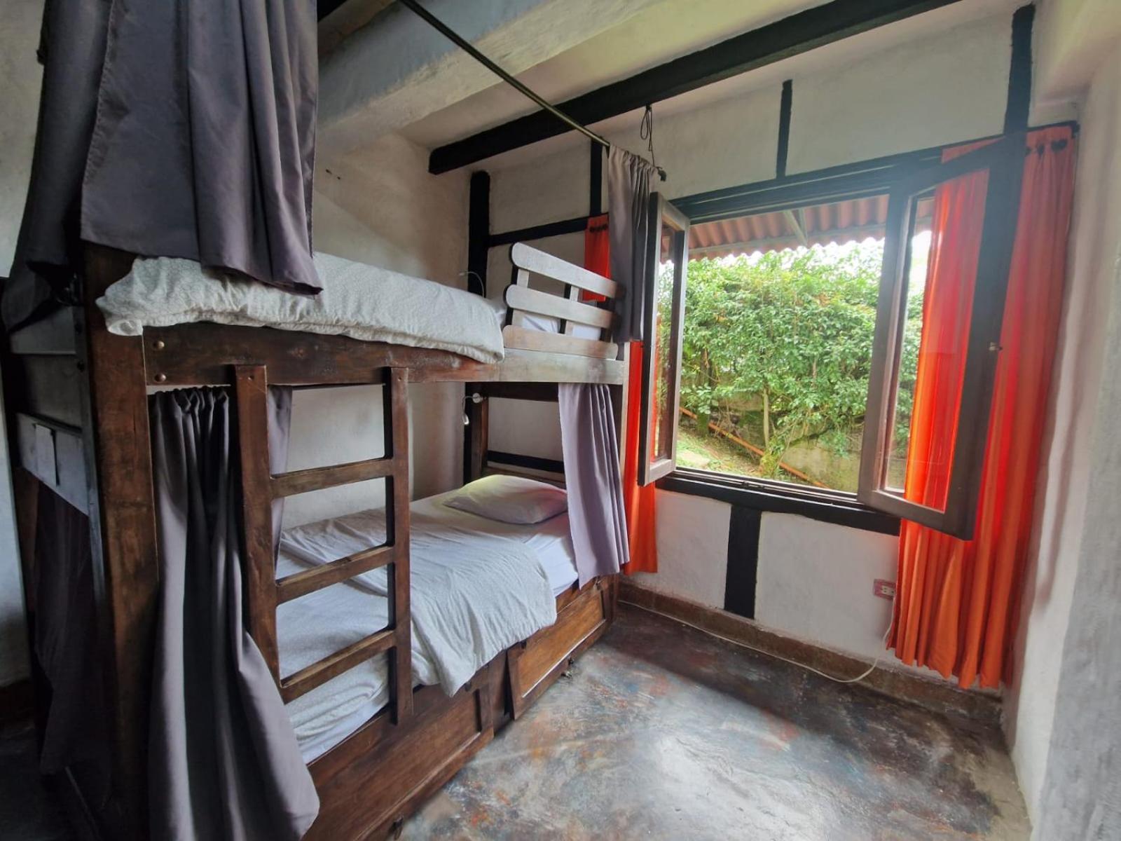 Coffee Tree Boutique Hostel Salento Luaran gambar