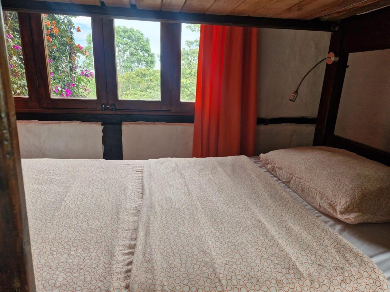 Coffee Tree Boutique Hostel Salento Luaran gambar