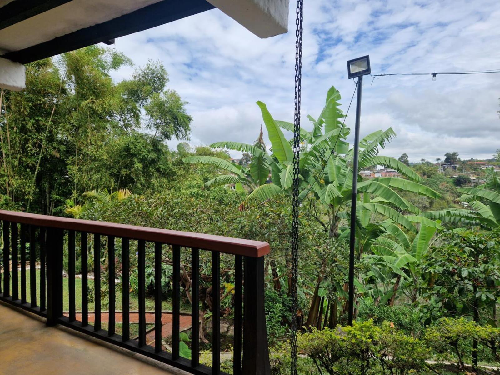 Coffee Tree Boutique Hostel Salento Luaran gambar