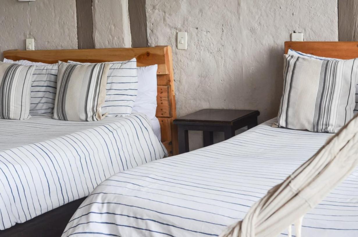 Coffee Tree Boutique Hostel Salento Luaran gambar