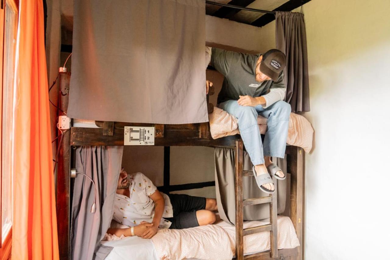 Coffee Tree Boutique Hostel Salento Luaran gambar